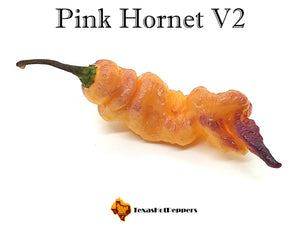 Pink Hornet V2