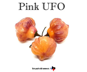 Pink UFO