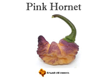 Load image into Gallery viewer, Pink Hornet
