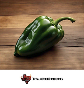 Poblano