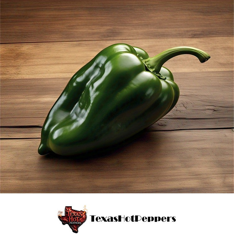 Poblano