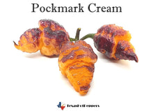 Load image into Gallery viewer, Pockmark Cream