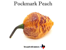 Load image into Gallery viewer, Pockmark Peach