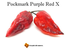 Load image into Gallery viewer, Pockmark Purple Red X