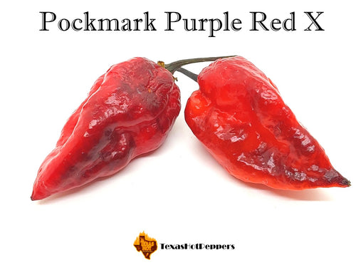 Pockmark Purple Red X