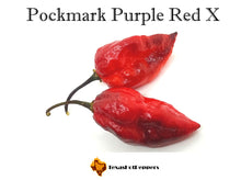 Load image into Gallery viewer, Pockmark Purple Red X
