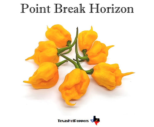 Point Break Horizon