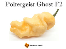 Load image into Gallery viewer, Poltergeist Ghost F2