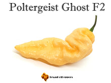 Load image into Gallery viewer, Poltergeist Ghost F2