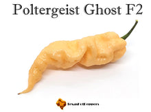 Load image into Gallery viewer, Poltergeist Ghost F2