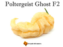 Load image into Gallery viewer, Poltergeist Ghost F2