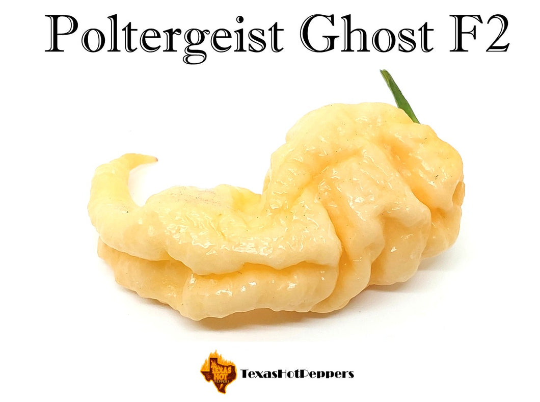 Poltergeist Ghost F2