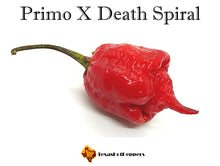 Load image into Gallery viewer, Primo X Death Spiral