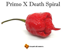 Load image into Gallery viewer, Primo X Death Spiral
