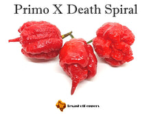 Load image into Gallery viewer, Primo X Death Spiral