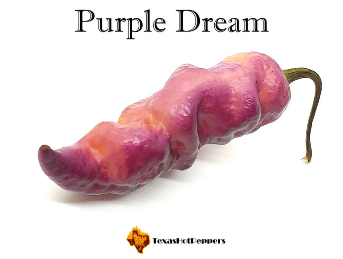Purple Dream
