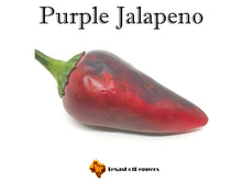 Load image into Gallery viewer, Purple Jalapeno
