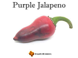 Purple Jalapeno
