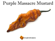 Load image into Gallery viewer, Purple Massacre Mustard