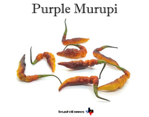 Purple Murupi