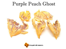 Load image into Gallery viewer, Purple Peach Ghost