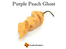 Load image into Gallery viewer, Purple Peach Ghost