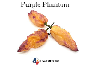 Purple Phantom