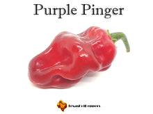 Load image into Gallery viewer, Purple Pinger
