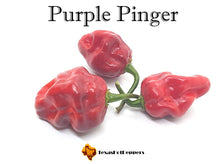 Load image into Gallery viewer, Purple Pinger