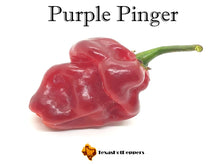Load image into Gallery viewer, #2 Great Taste Chinense Pepper Seed Collection - 10 Different Varieties!