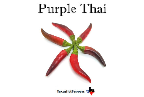 Purple Thai