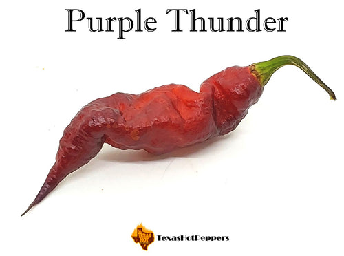 Purple Thunder