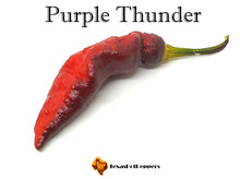 Load image into Gallery viewer, Purple Thunder