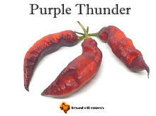 Load image into Gallery viewer, Purple Thunder