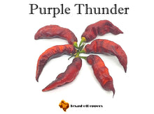 Load image into Gallery viewer, Purple Thunder