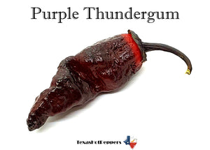 Purple Thundergum