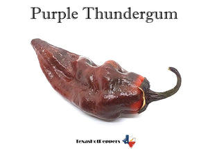 Purple Thundergum