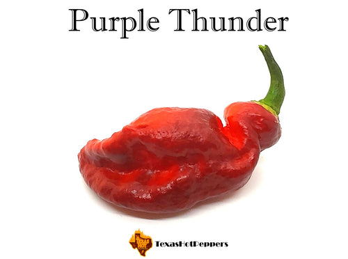 Purple Thunder