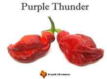 Load image into Gallery viewer, Purple Thunder