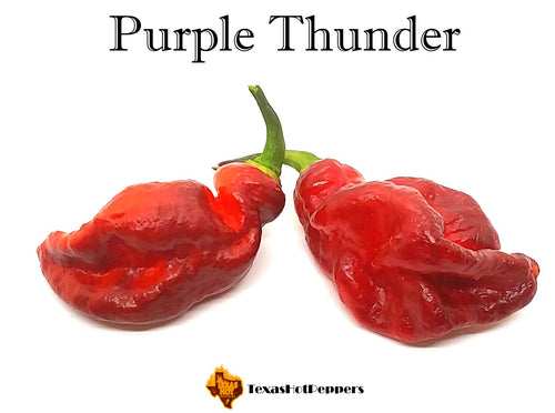 Purple Thunder