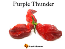 Load image into Gallery viewer, Purple Thunder