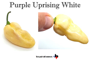 Purple Uprising White