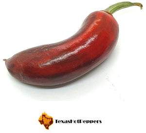 Purple Tiger Cacho White Leaf
