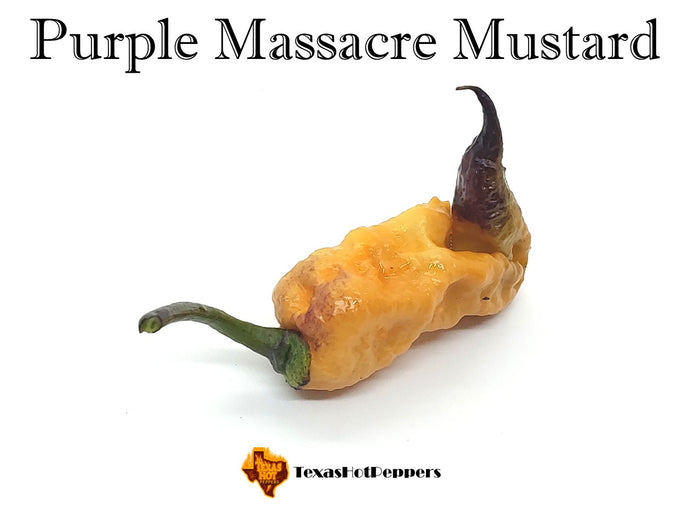 Purple Massacre Mustard