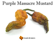 Load image into Gallery viewer, Purple Massacre Mustard