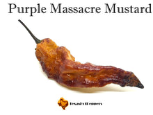 Load image into Gallery viewer, Purple Massacre Mustard