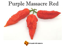 Load image into Gallery viewer, Purple Massacre Red