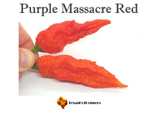Load image into Gallery viewer, Purple Massacre Red