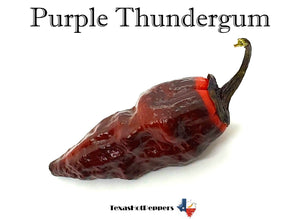 Purple Thundergum