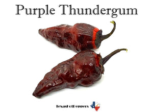 Purple Thundergum